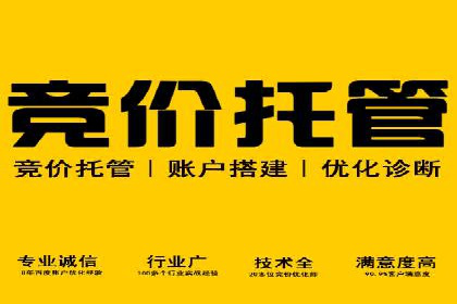 案例解析：推广竞价助力企业抢占市场份额